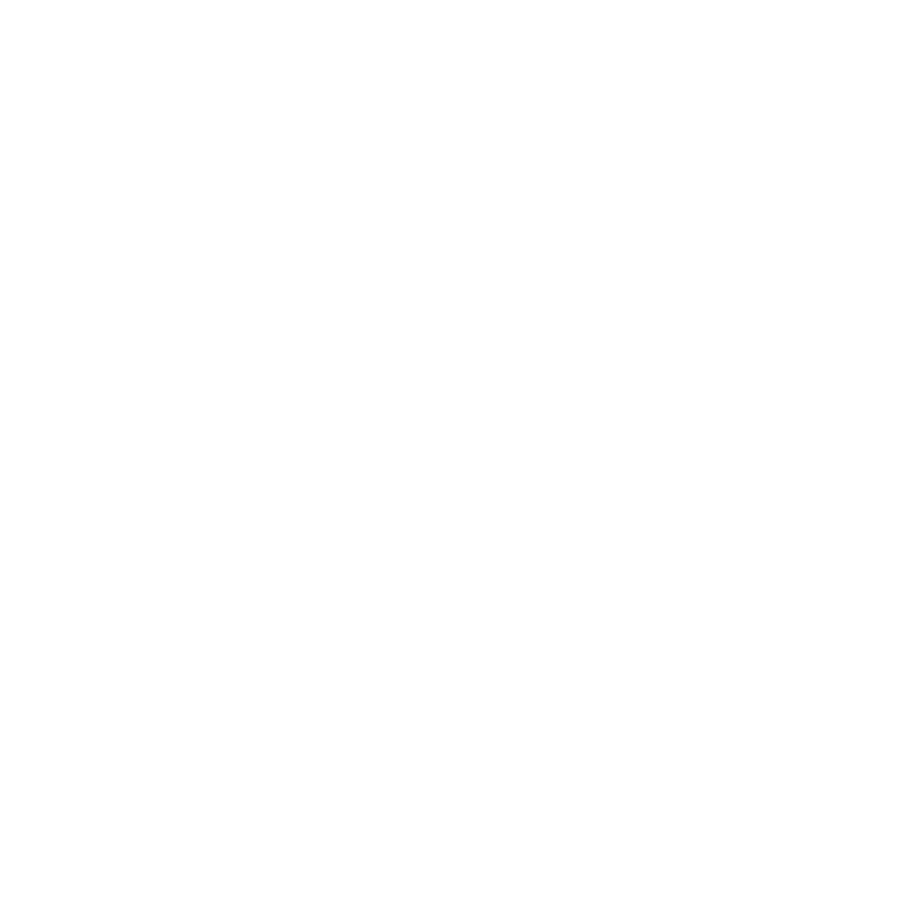 A10 Networks Logo